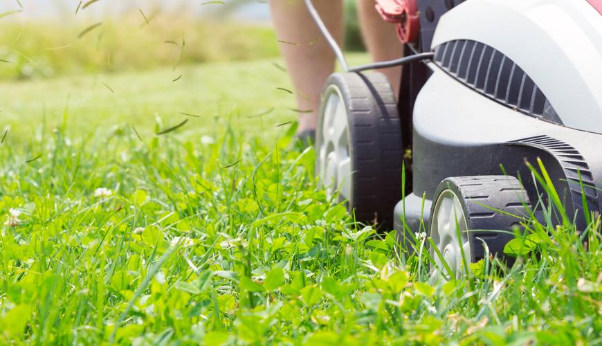 Pflege von Grünanlagen in Wuppertal durch unser Reinigungsteam